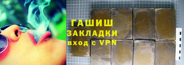 индика Ладушкин