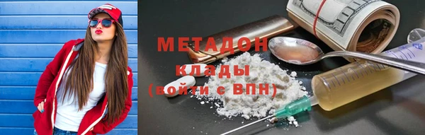 индика Ладушкин