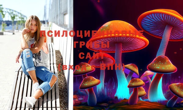 МДПВ Лагань
