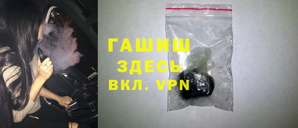 индика Ладушкин