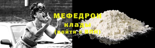 индика Ладушкин