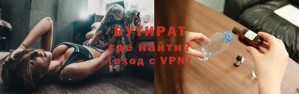индика Ладушкин