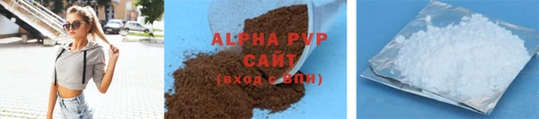 индика Ладушкин
