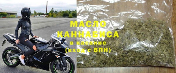 индика Ладушкин