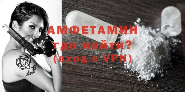 индика Ладушкин