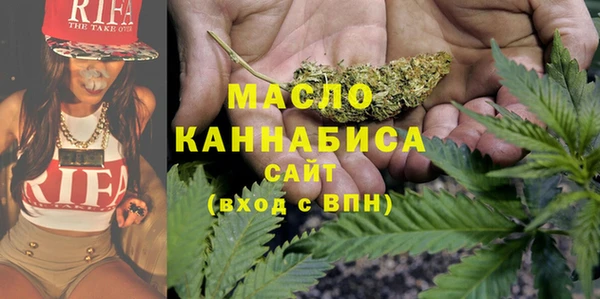 индика Ладушкин