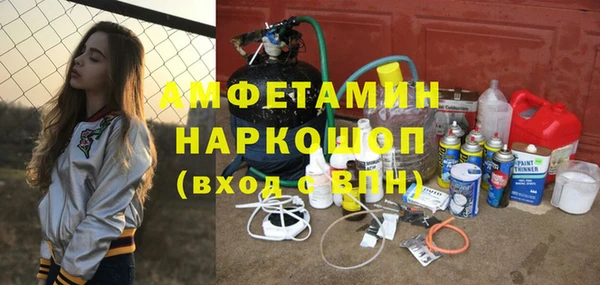 индика Ладушкин