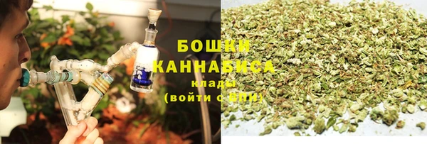 винт Лабытнанги