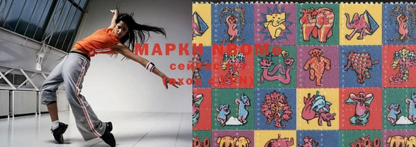 индика Ладушкин