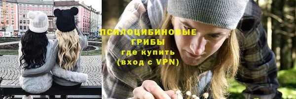 МДПВ Лагань