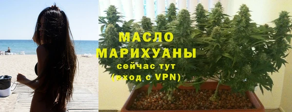 индика Ладушкин