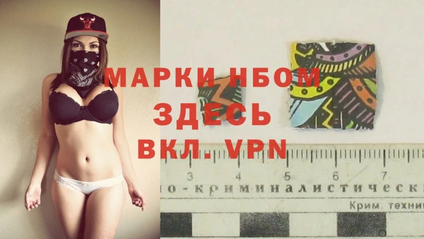 индика Ладушкин