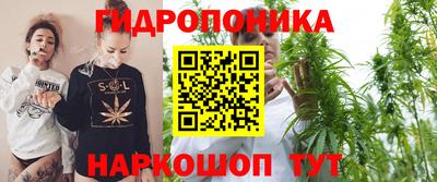 крисы Дубна