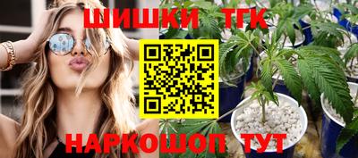 крисы Дубна