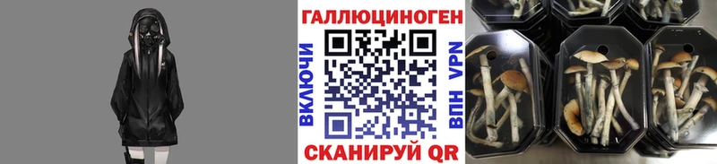 Галлюциногенные грибы GOLDEN TEACHER Серов