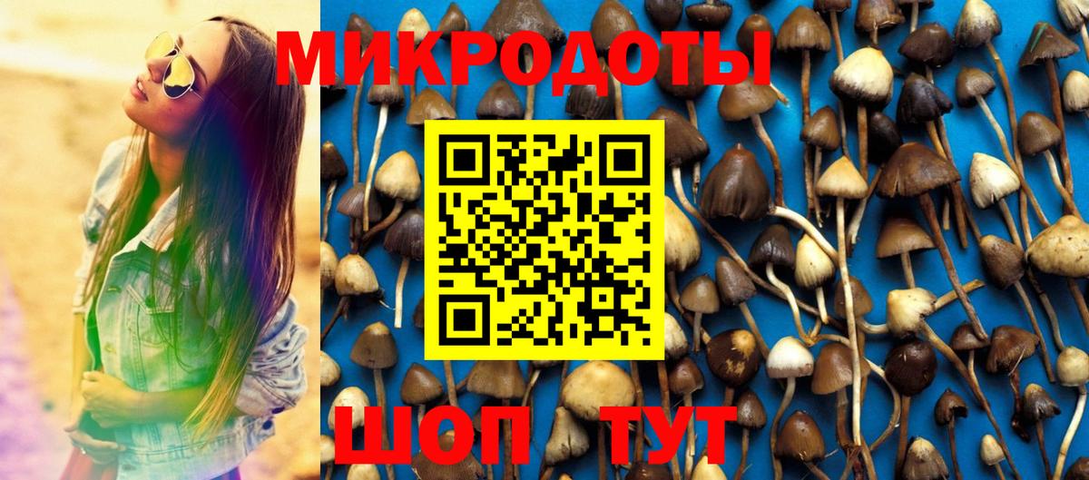 Галлюциногенные грибы MAGIC MUSHROOMS Серов