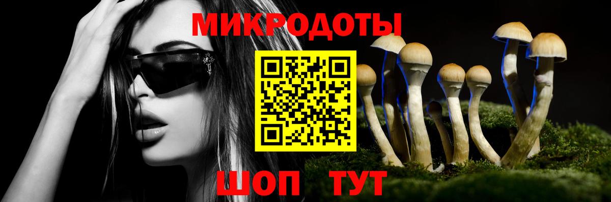 Галлюциногенные грибы Magic Shrooms  Вход с VPN  Серов  Псилоцибиновые грибы прущие грибы 
